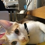 20120801-1.jpg