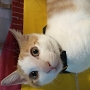 20120801-2.jpg
