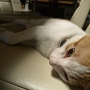 20120803-2.jpg
