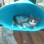 20120818.jpg