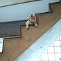 20120827-1.jpg
