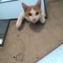20120827-2.jpg