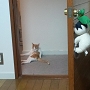 20120827-3.jpg