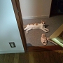 20120827-4.jpg