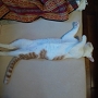 20120828-1.jpg