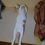 20120828-2.jpg