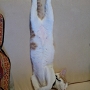 20120828-3.jpg