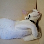 20120828-4.jpg